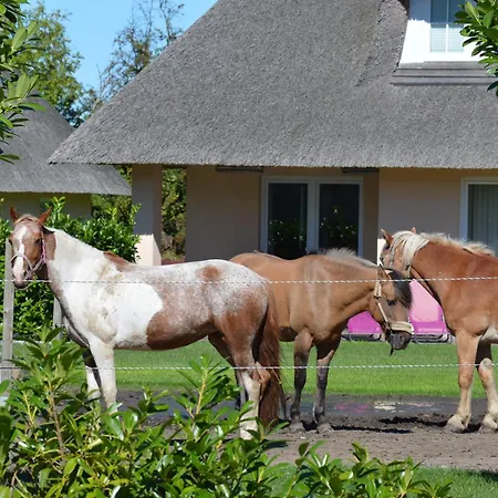 Gartenhaus 1, Inkl 1 Parkplatz * Fehmarn