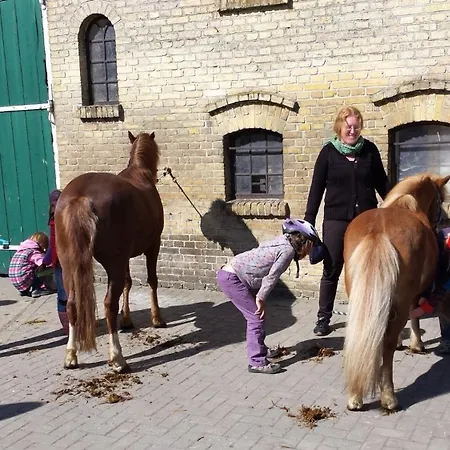 Prázdninový dům Gartenhaus 1, Inkl 1 Parkplatz