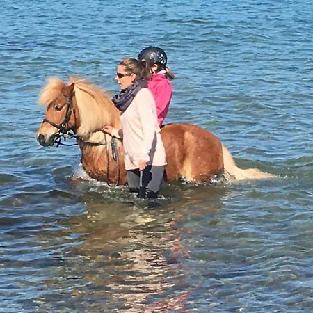 Gartenhaus 1, Inkl 1 Parkplatz Prázdninový dům Fehmarn
