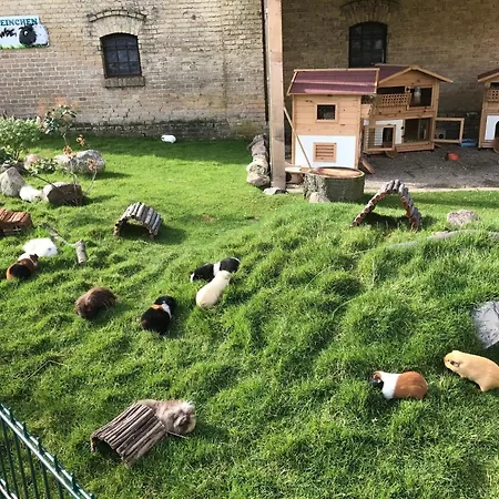 Gartenhaus 1, Inkl 1 Parkplatz Prázdninový dům