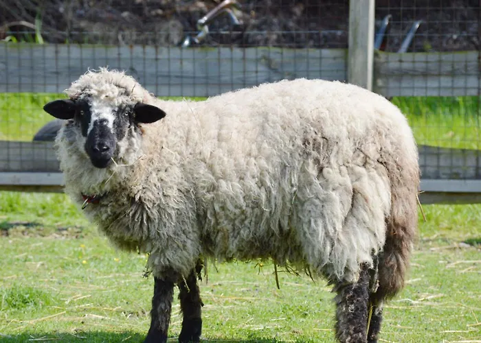 度假居 Gartenhaus 1, Inkl 1 Parkplatz 费马恩