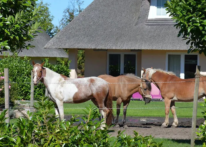 Gartenhaus 1, Inkl 1 Parkplatz * 费马恩