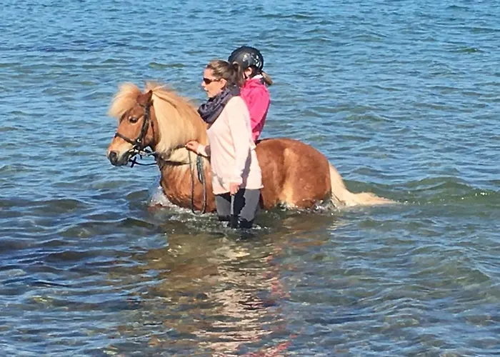 Gartenhaus 1, Inkl 1 Parkplatz 度假居 费马恩