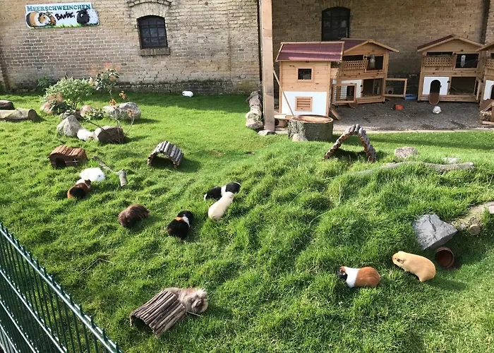 Gartenhaus 1, Inkl 1 Parkplatz 度假居